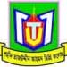 Shahid Tajuddin Ahmad Degree College, Hailjor logo