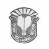 Syed Shah Mostafa College logo